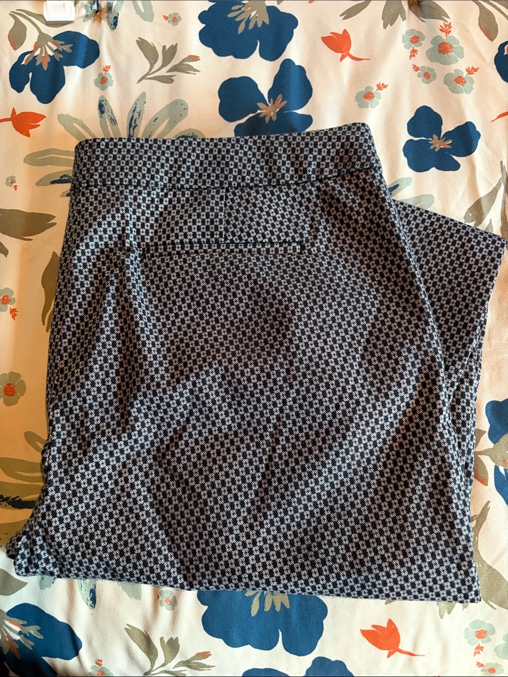 Dalia size 12 Patterned Ankle Pants w/Pockets - Picture 4 of 11